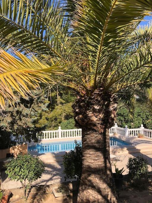 Casa Con Piscina Lejlighed Calpe Eksteriør billede